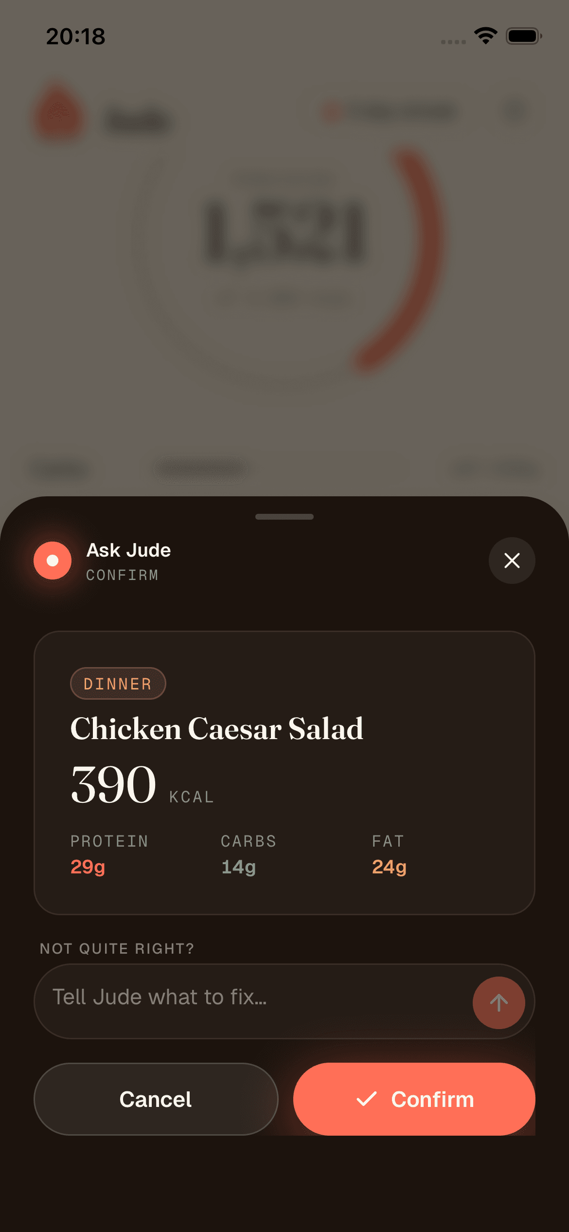 Ask Jude confirming a logged meal